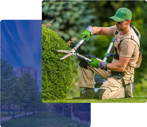 Commercial Landscaping Services