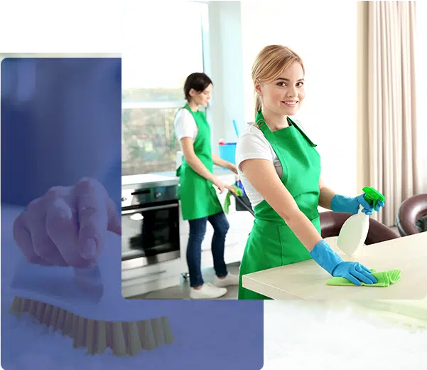 Green Cleaning Services