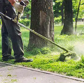 Landscape-Maintenance-Services