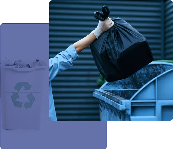 Solid Waste Services